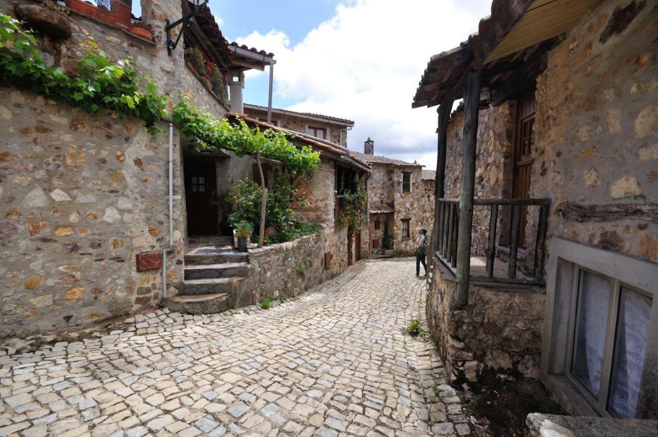 Villa Casa Do Olival Figueiro Dos Vinhos Exterior foto