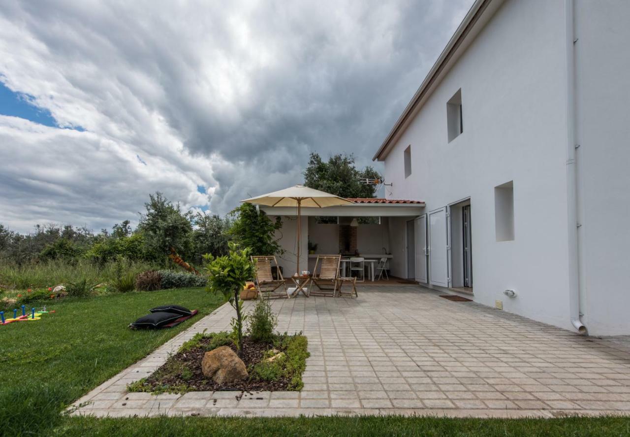 Villa Casa Do Olival Figueiro Dos Vinhos Exterior foto